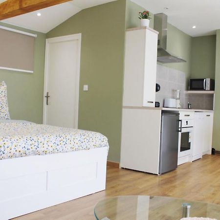 Saint Etienne : Appartement Chateaucreux 40 M2 Zewnętrze zdjęcie