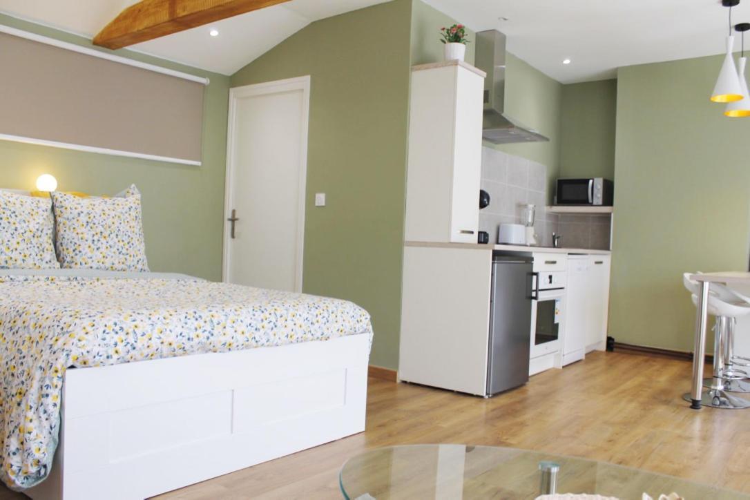 Saint Etienne : Appartement Chateaucreux 40 M2 Zewnętrze zdjęcie