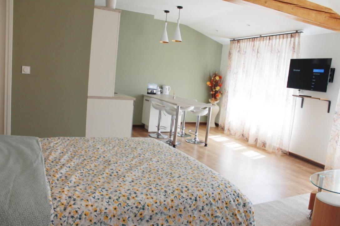 Saint Etienne : Appartement Chateaucreux 40 M2 Zewnętrze zdjęcie