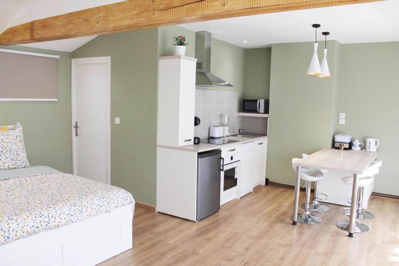 Saint Etienne : Appartement Chateaucreux 40 M2 Zewnętrze zdjęcie