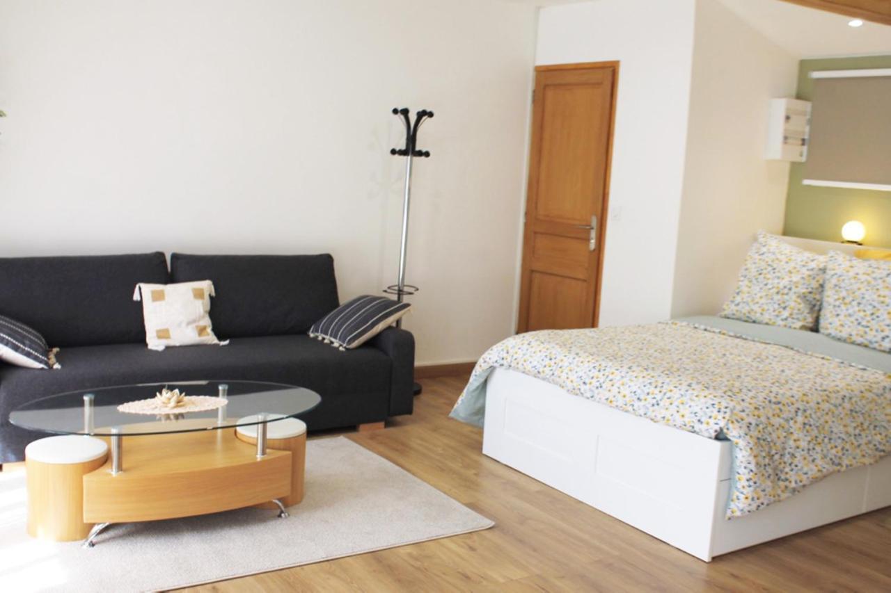 Saint Etienne : Appartement Chateaucreux 40 M2 Zewnętrze zdjęcie